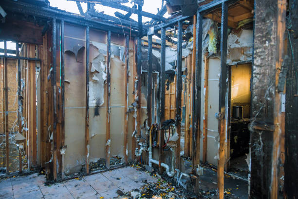 Professional Odor Removal technician working in Lafayette, OR